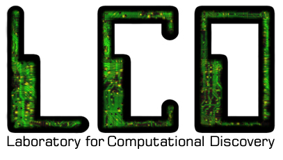 LCD logo